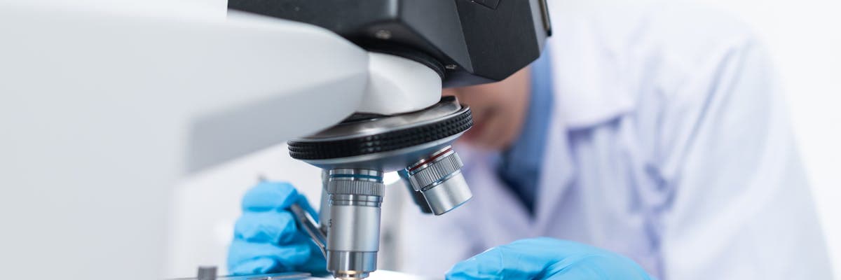 Agrarbiologie (Bachelor) – Arbeitsumfeld