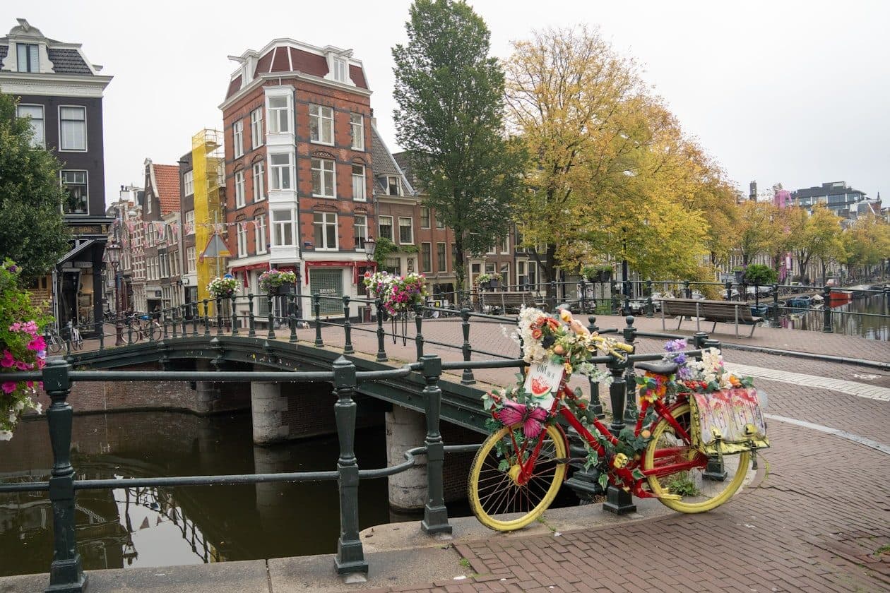 Niederlandistik (Master) – Arbeitsumfeld