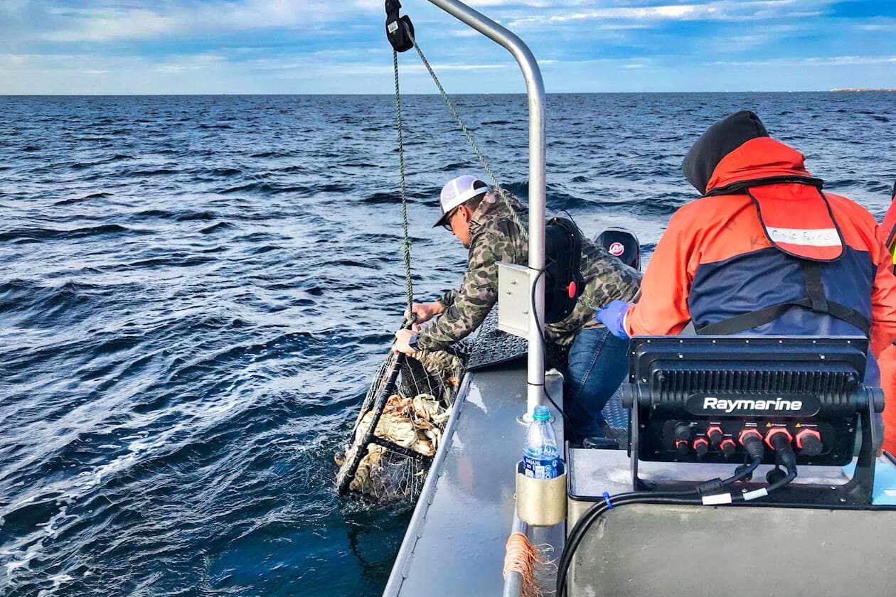 Ozeanograf/Ozeanografin – Arbeitsumfeld